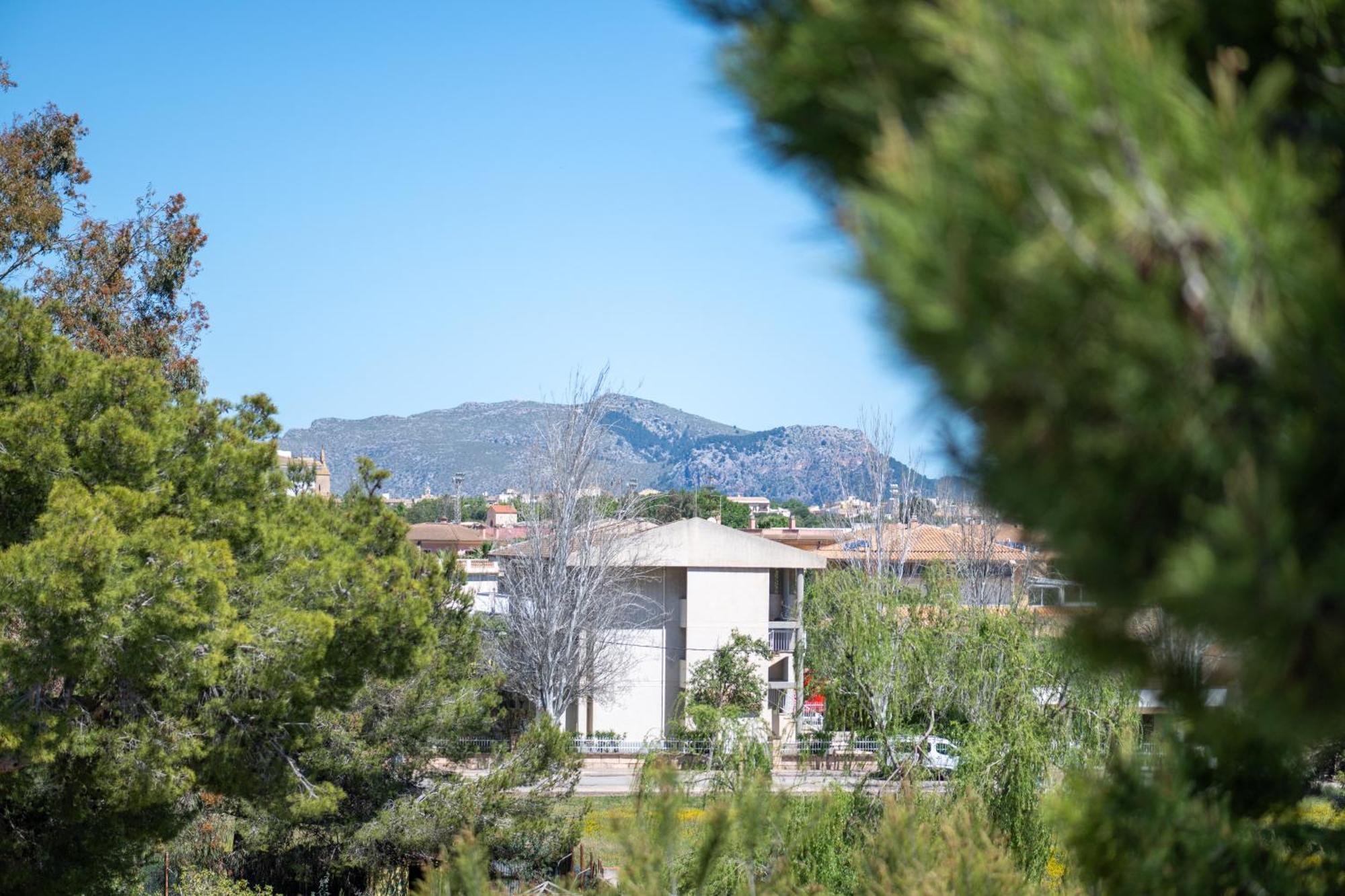 Apartamento Minerva Alcudia  Eksteriør billede
